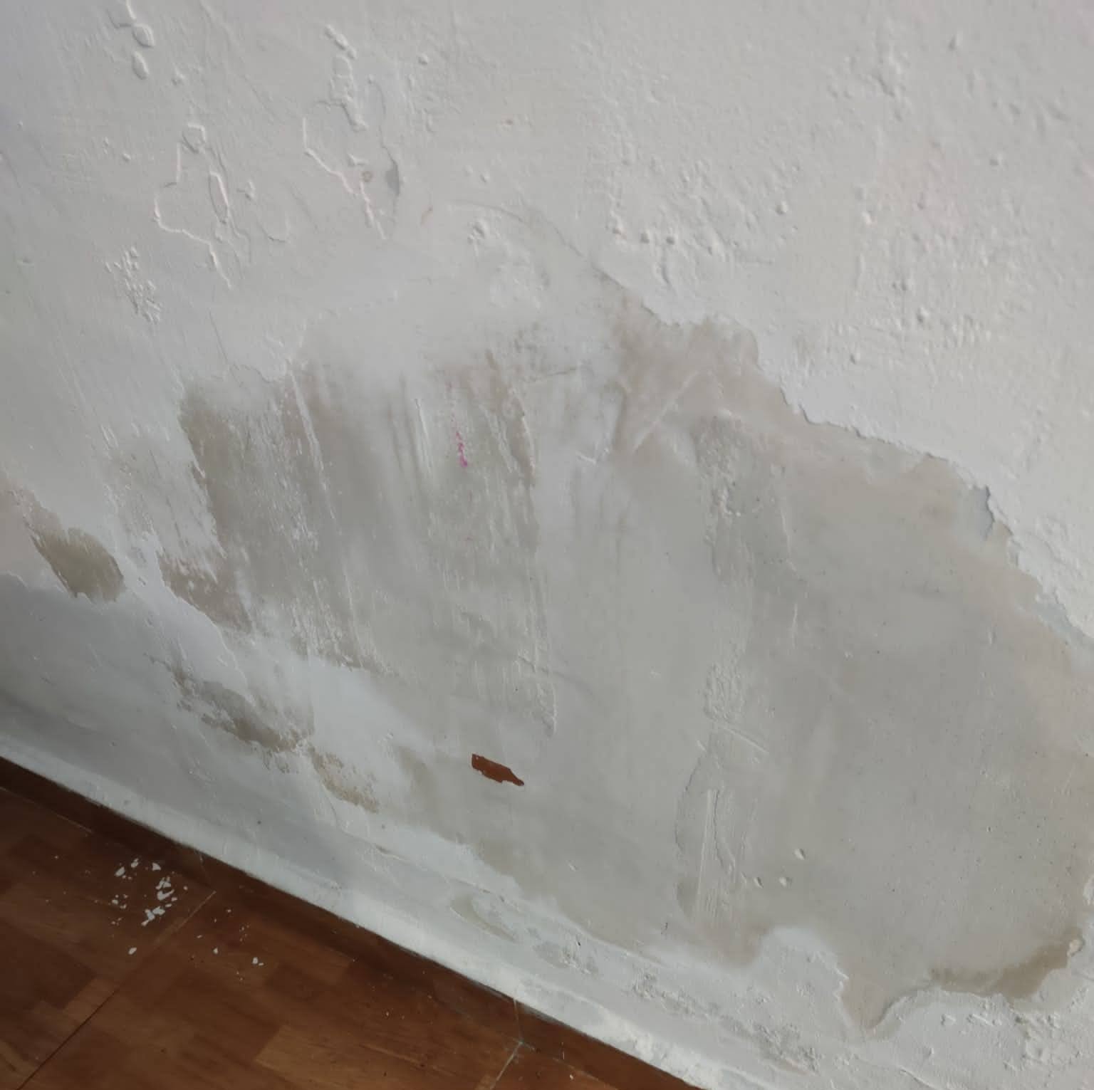 Pared afectada por la humedad por capilaridad